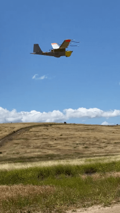 DAA-PANCAS over field